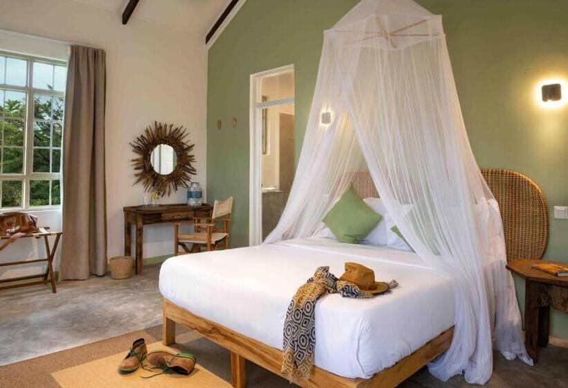 اتاق لوکس, The Safari House