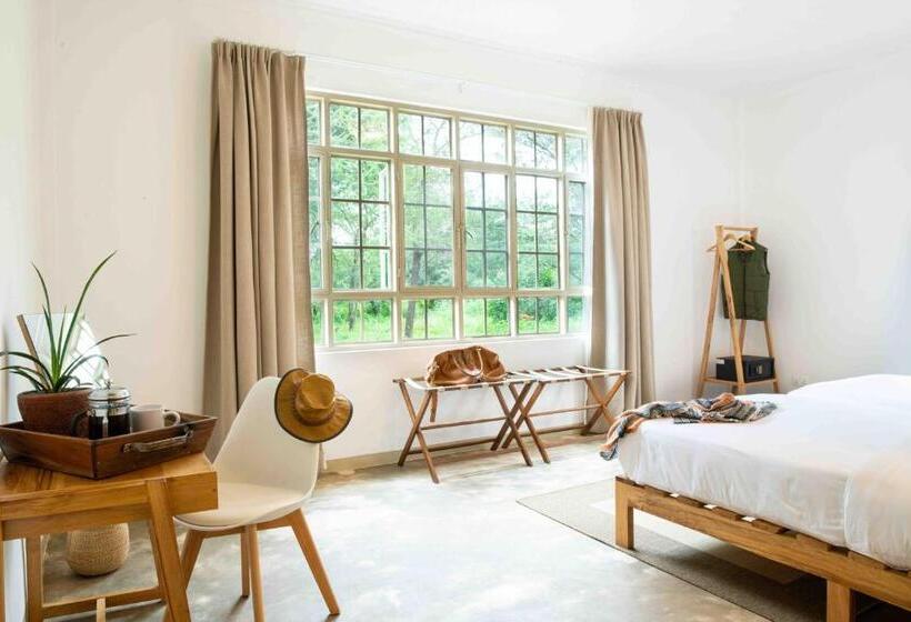 اتاق لوکس, The Safari House