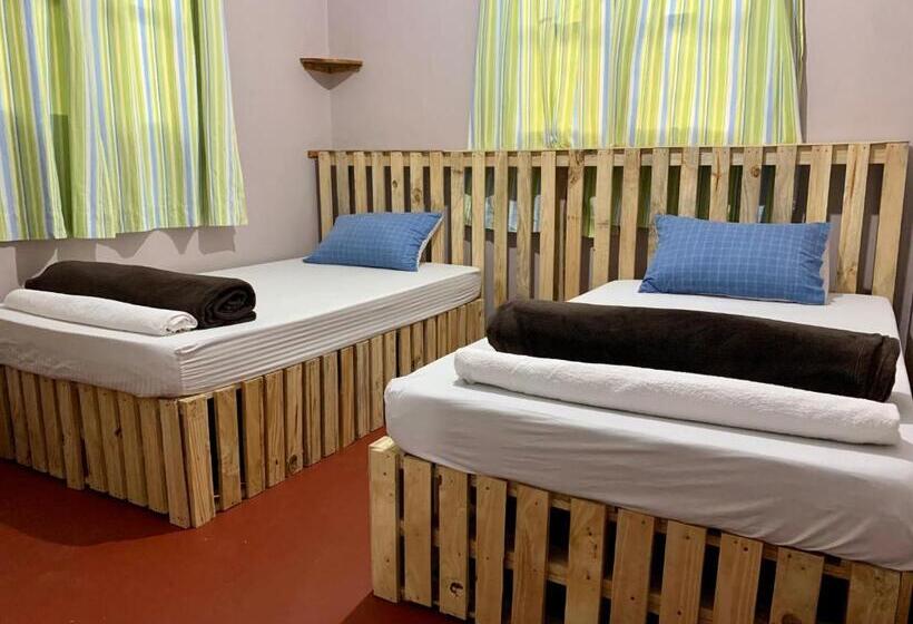 بنگله خانوادگی, Pazuri Hostel