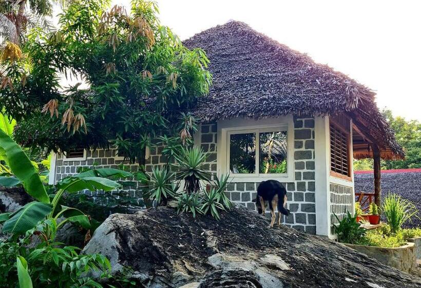 بانگلوی استاندارد با چشم‌انداز دریا, Coconut Lodge