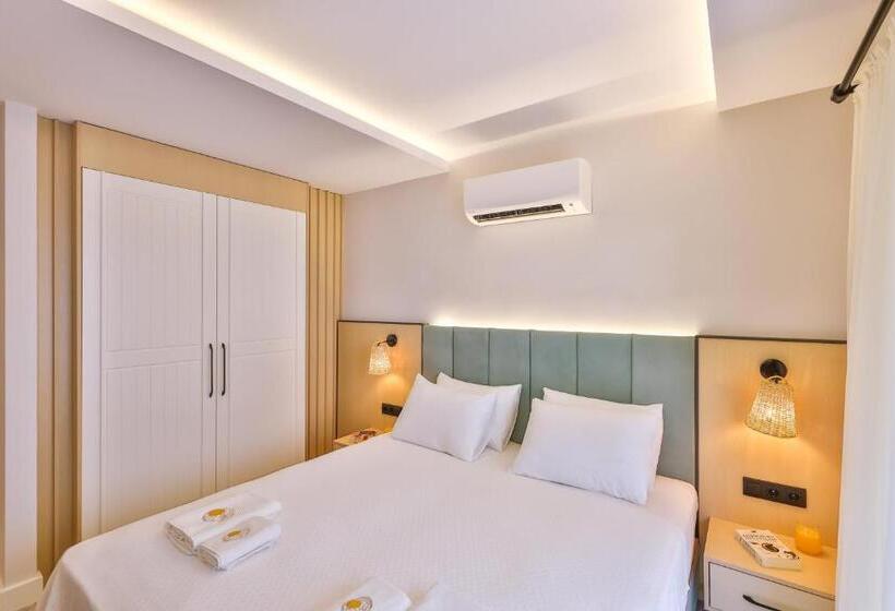 اتاق استاندارد با چشم‌انداز باغ, Sole Vista Homes