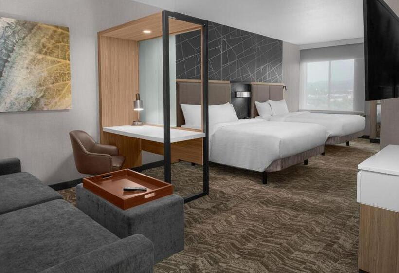 Suite Queen Bed, Springhill Suites By Marriott Riverside Redlands