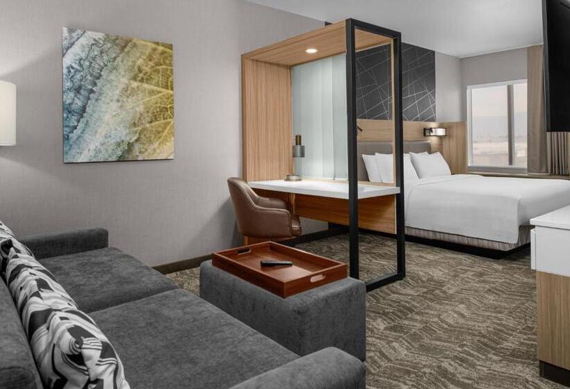 سوئیت با تخت بزرگ, Springhill Suites By Marriott Riverside Redlands