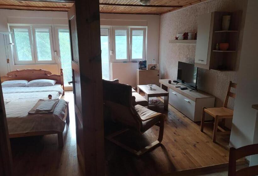 اتاق خانوادگی, Apartmani Zora Vuković