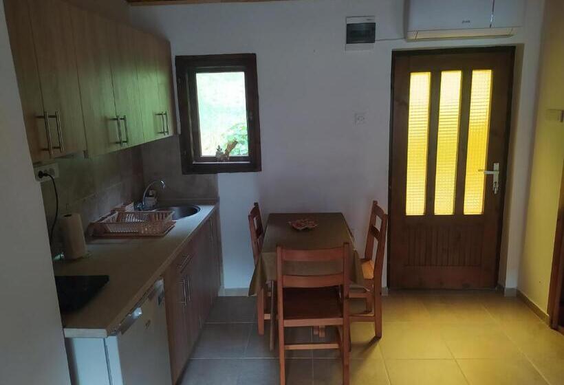 اتاق خانوادگی, Apartmani Zora Vuković