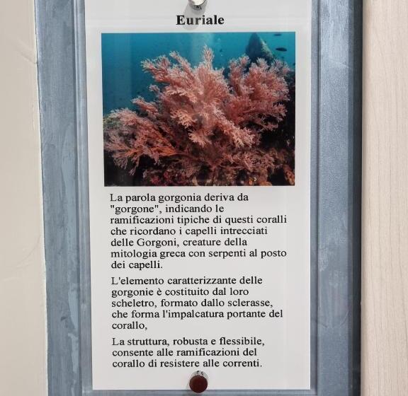 اتاق استاندارد, B&b Le Gorgonie