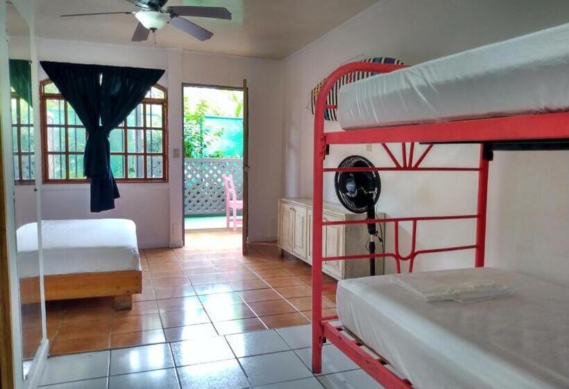 اتاق استاندارد چهار تخته, Buena Nota Hostel