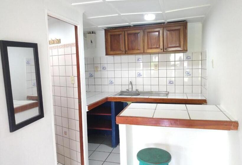 اتاق کلاسیک چهارنفره, Buena Nota Hostel