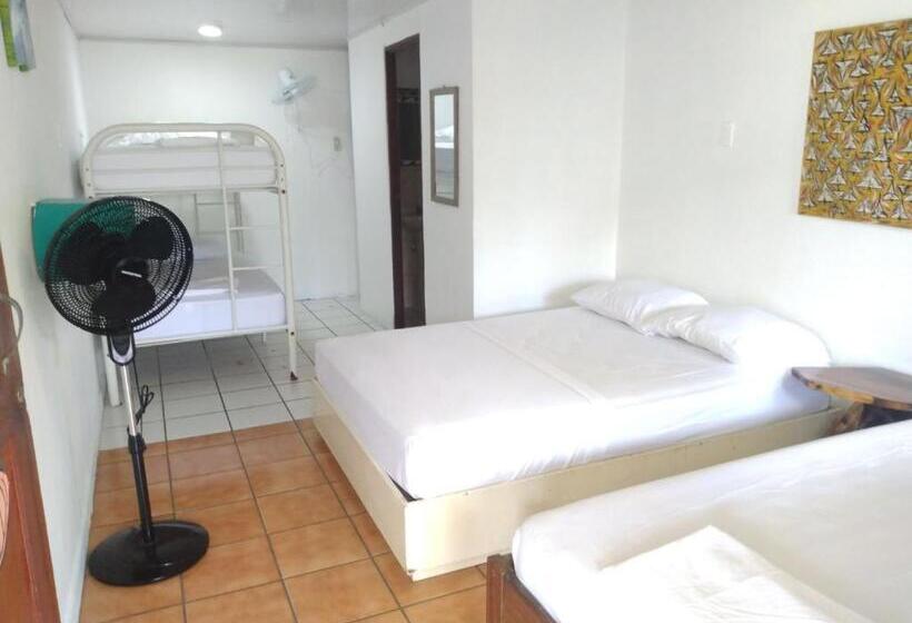 استودیو خانوادگی, Buena Nota Hostel