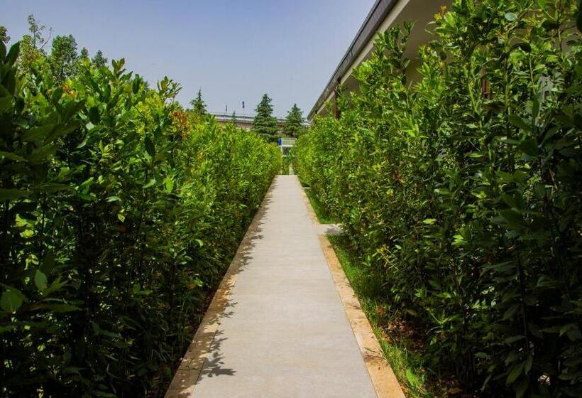 اتاق استاندارد, Kairos Resort & Spa