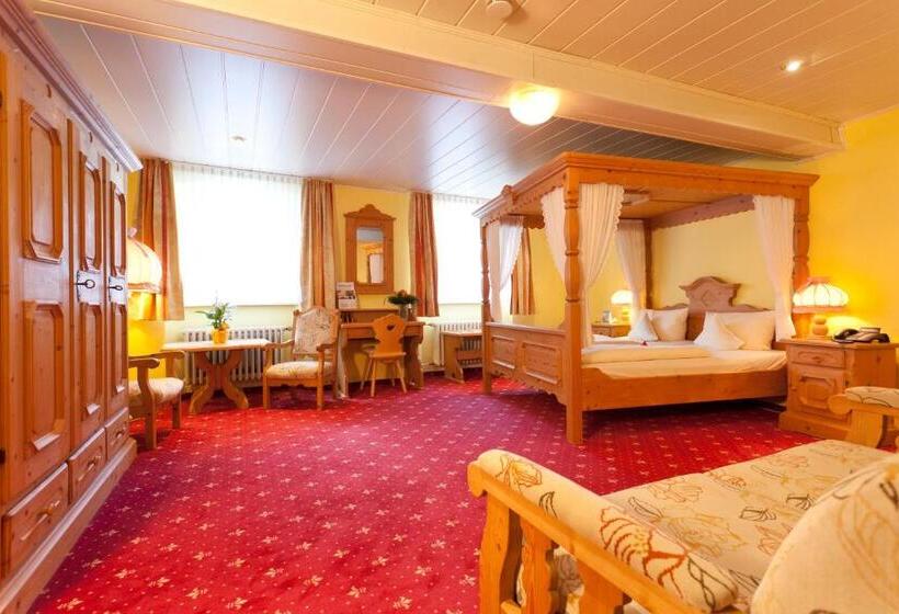 اتاق استاندارد, Akzent Hotel Goldner Stern