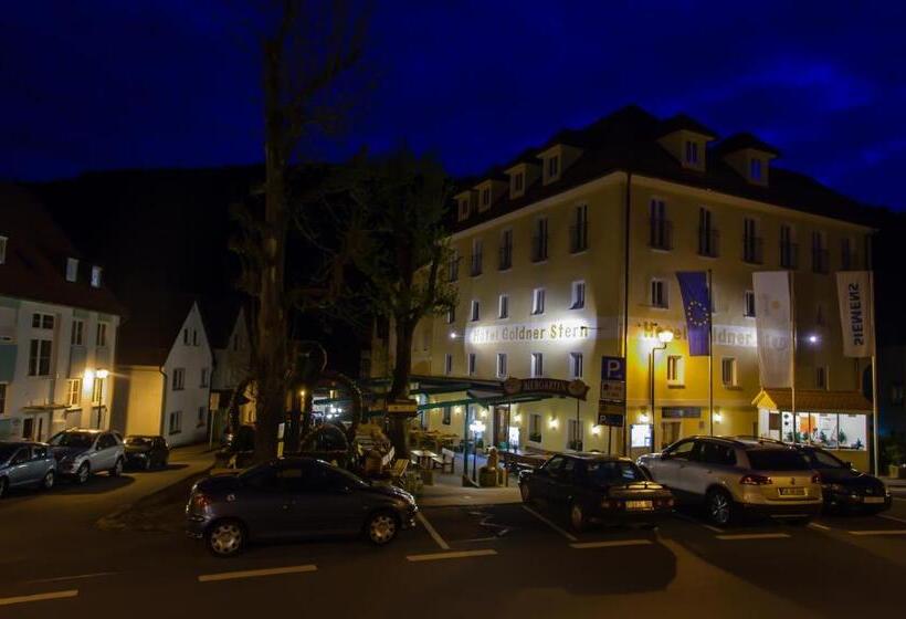 اتاق استاندارد, Akzent Hotel Goldner Stern