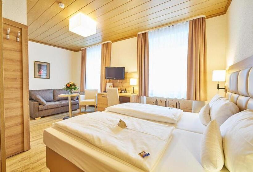 اتاق سوپریور, Akzent Hotel Goldner Stern