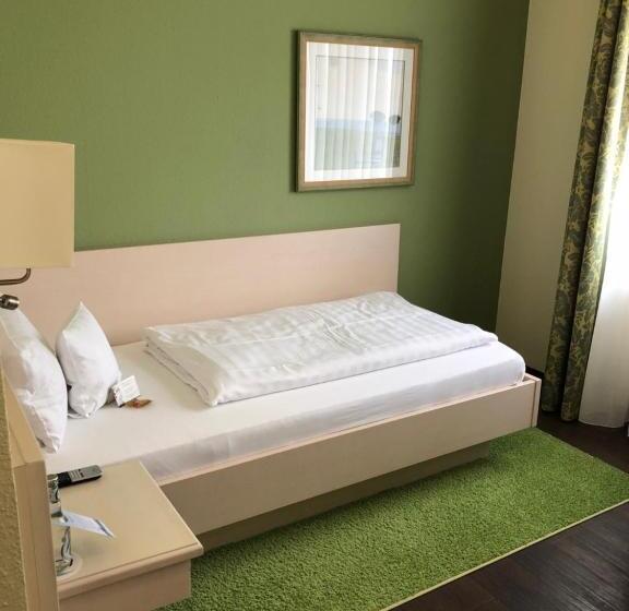 اتاق استاندارد یک نفره, Akzent Hotel Restaurant Albert