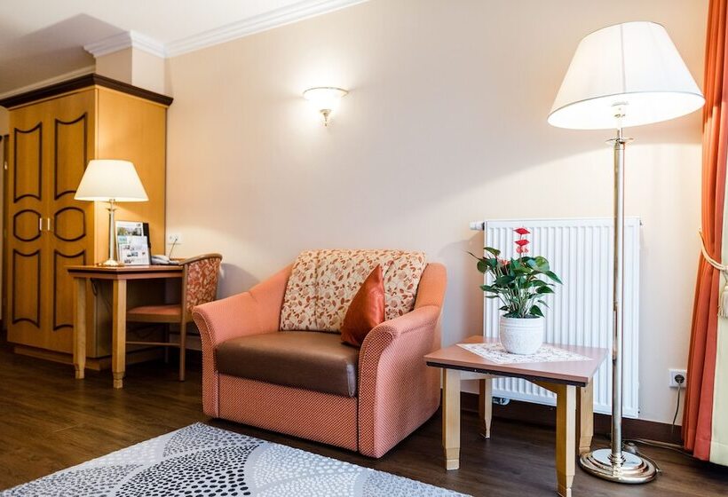 标准单人间, Akzent Hotel Bayerwald Residenz