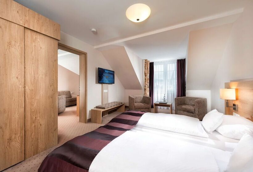 آپارتمان 1 خوابه, Best Western Plus Hotel Willingen