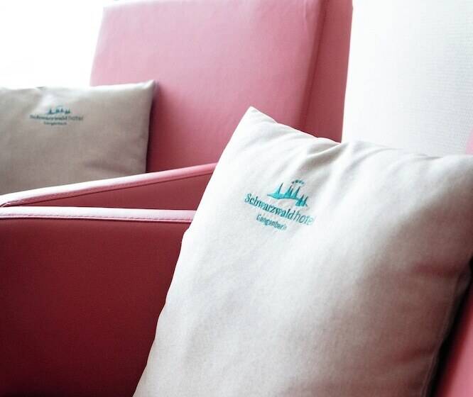 اتاق راحتی, Schwarzwaldhotel Gengenbach