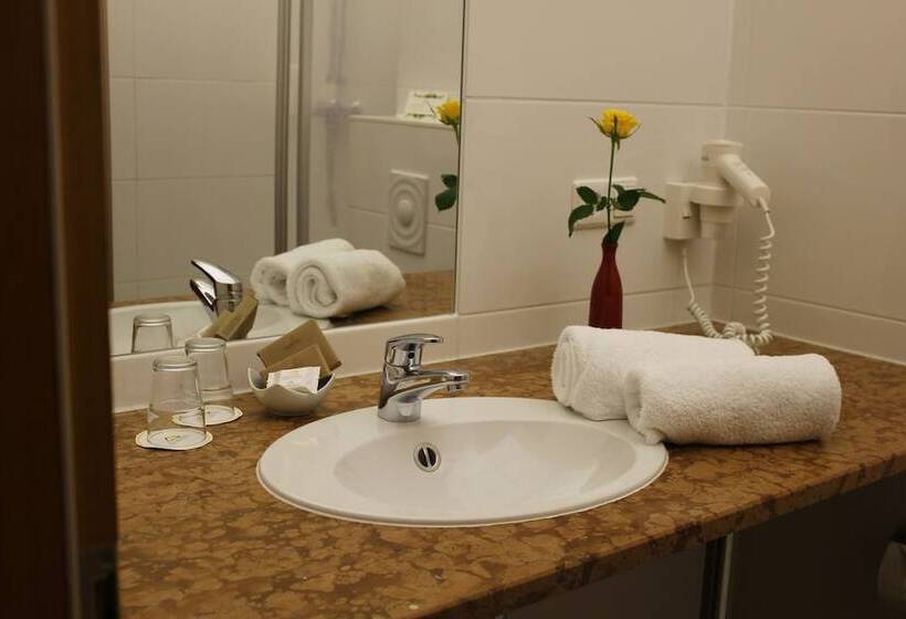 اتاق استاندارد, Boutique Hotel Schwarzer Baer