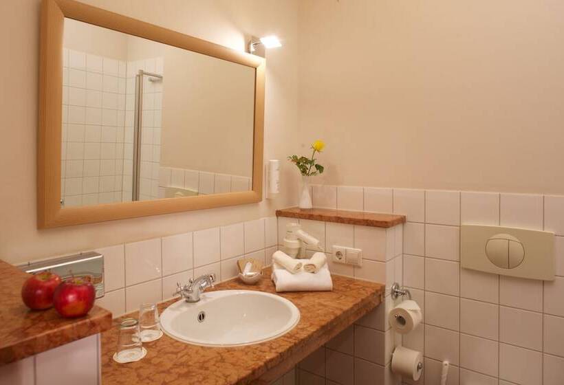 اتاق استاندارد, Boutique Hotel Schwarzer Baer