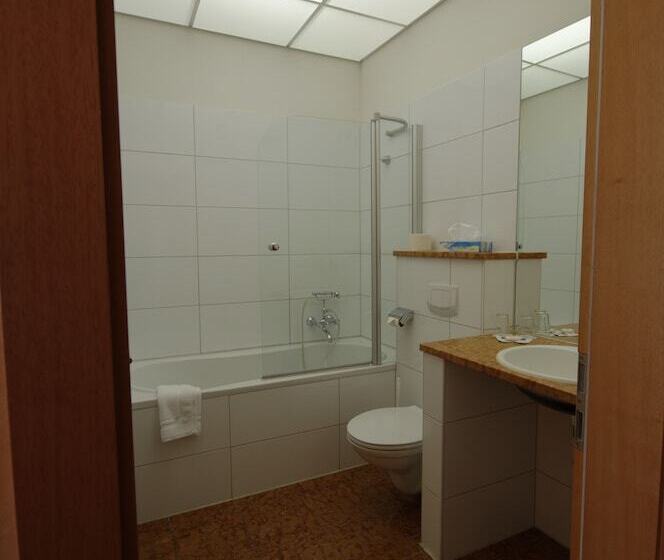 اتاق استاندارد یک نفره, Boutique Hotel Schwarzer Baer