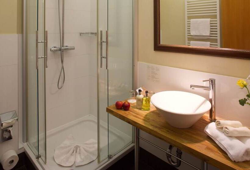 اتاق استاندارد یک نفره, Boutique Hotel Schwarzer Baer