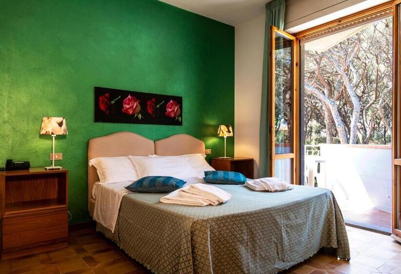 Superior Room with Terrace, Parco Dei Pini