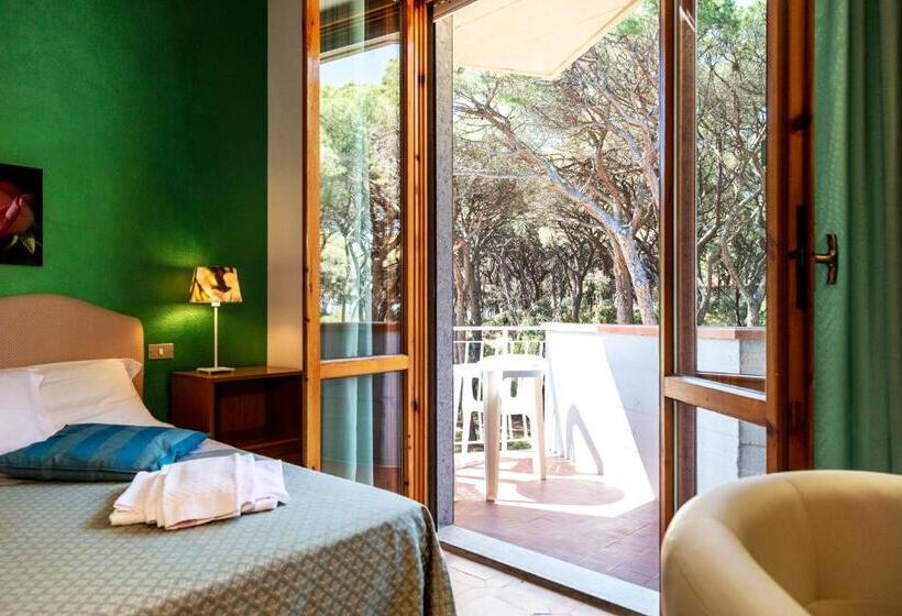 Superior Room with Terrace, Parco Dei Pini