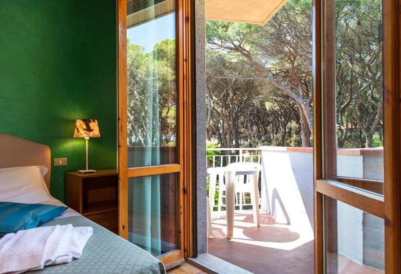 Superior Room with Terrace, Parco Dei Pini