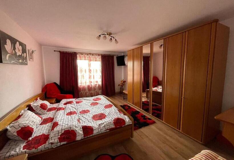 اتاق استاندارد با تخت بزرگ, Pensiunea Casa Mădă