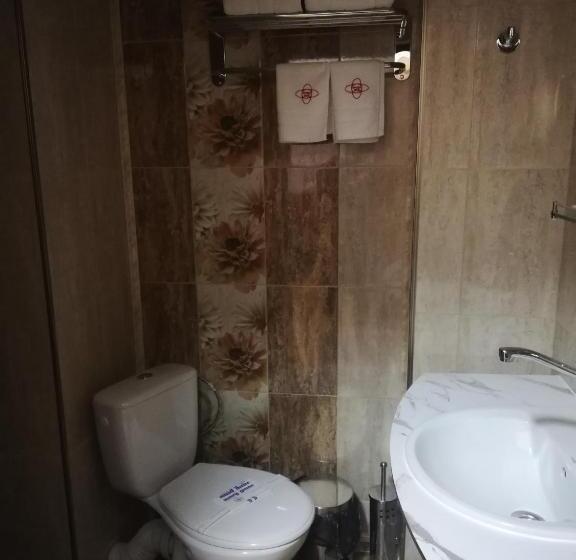 Standard Triple Room with Terrace, Balneo And Spa Complex Mineral Yagoda