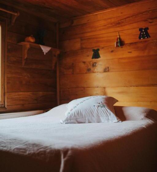 اتاق استاندارد چهار تخته, Kuşpuni Mountain Lodge