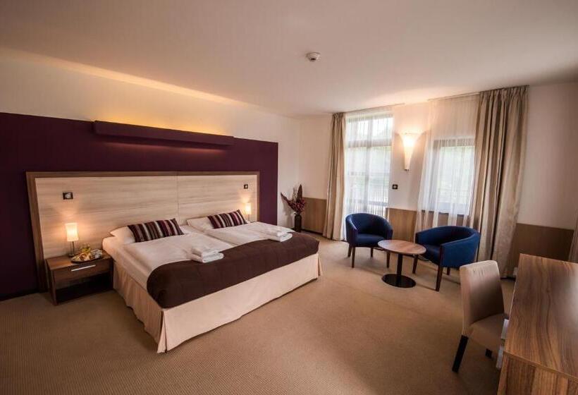 اتاق استاندارد, Golf Resort Olomouc