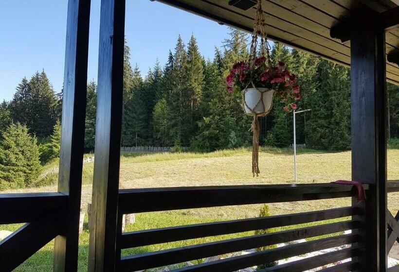 اتاق استاندارد با چشم‌انداز کوهستان, Pensiunea Maria Bucovina