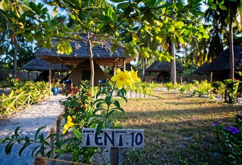 چادر با خدمات رفاهی استاندارد, Butiama Marine Camp