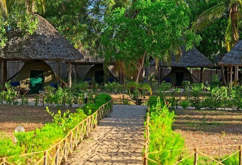چادر با خدمات رفاهی استاندارد, Butiama Marine Camp
