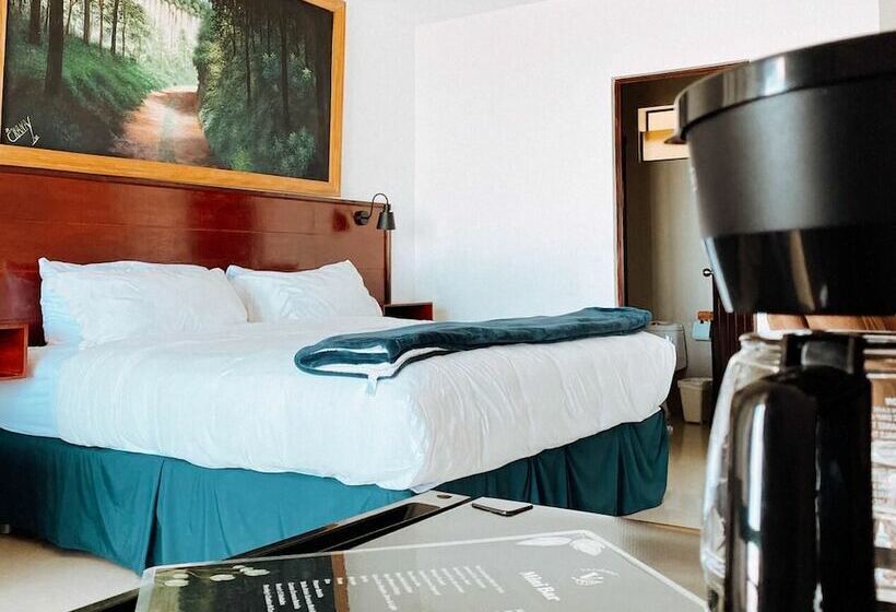 اتاق استاندارد با چشم‌انداز شهر, Verdant Hotel & Holistic Experience