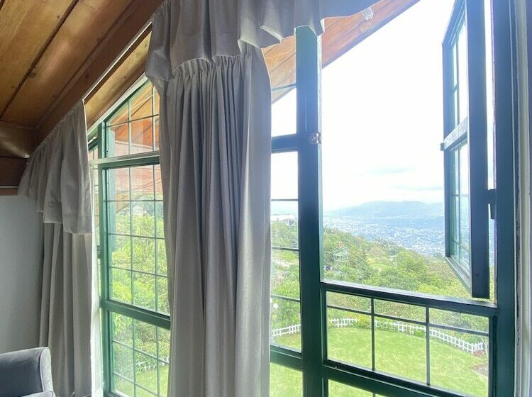 اتاق استاندارد با چشم‌انداز شهر, Verdant Hotel & Holistic Experience