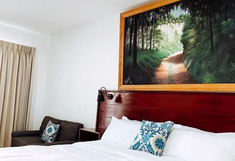 اتاق استاندارد با چشم‌انداز شهر, Verdant Hotel & Holistic Experience