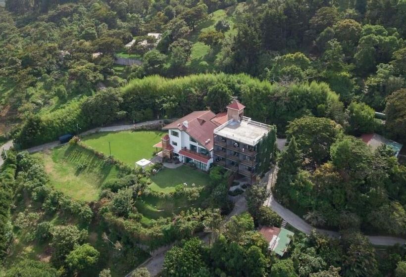اتاق استاندارد با چشم‌انداز شهر, Verdant Hotel & Holistic Experience