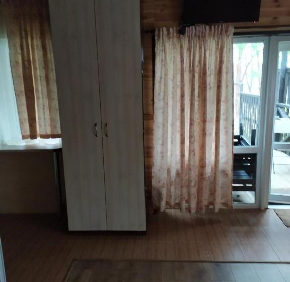 استودیو استاندارد با تراس, воллен