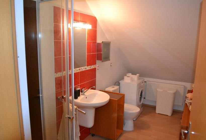 اتاق استاندارد چهار تخته, Apartment Roci