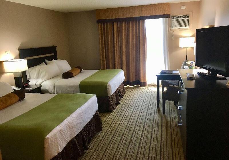 Номер Стандарт, Bed Nbudget Expo Hostel Rooms