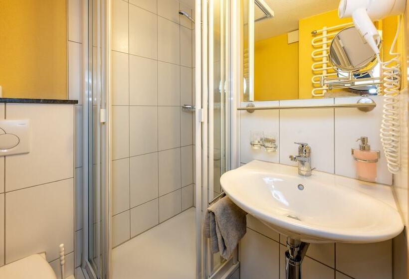 اتاق اکونومی, Aktiv Hotel & Spa Hannigalp