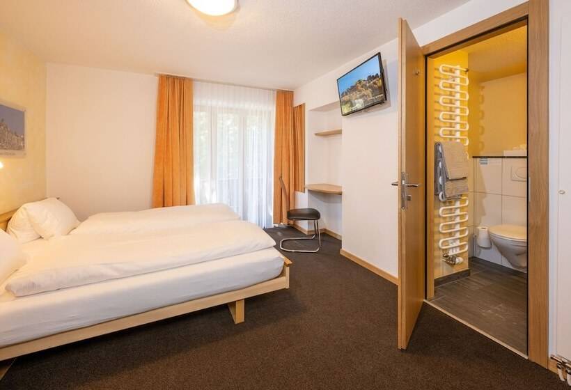 اتاق اکونومی, Aktiv Hotel & Spa Hannigalp