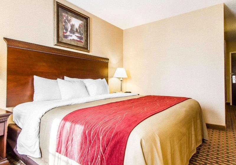 اتاق استاندارد با تخت بزرگ, Comfort Inn & Suites Scarboroughportland