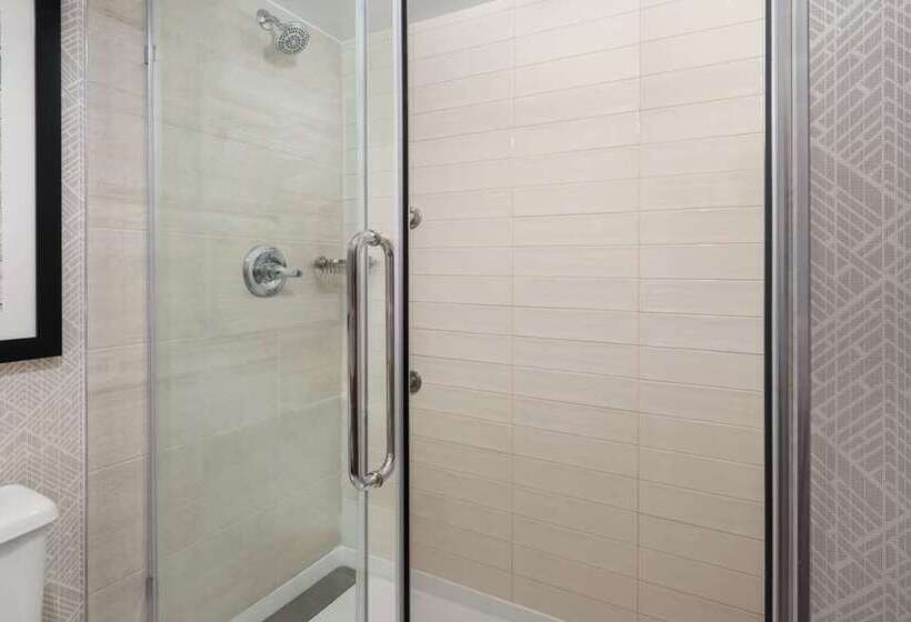 سوئیت با تخت بزرگ, Embassy Suites By Hilton St. Louis St. Charles
