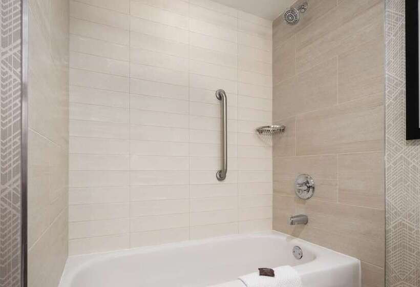 سوئیت با تخت بزرگ, Embassy Suites By Hilton St. Louis St. Charles