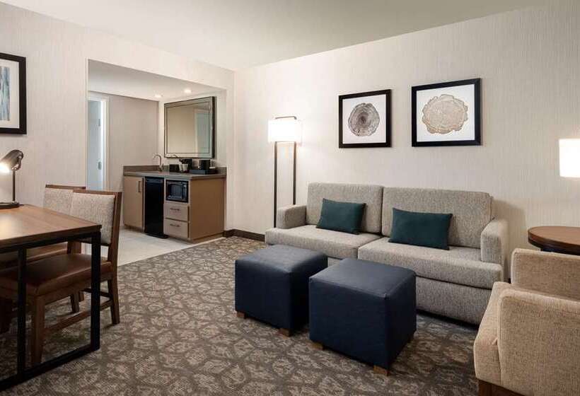 سوئیت با تخت بزرگ, Embassy Suites By Hilton St. Louis St. Charles