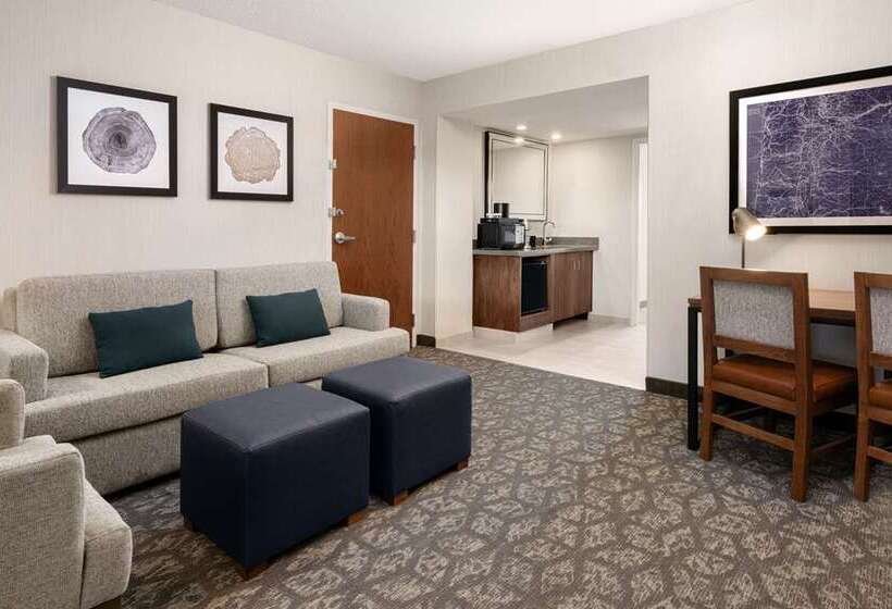 سوئیت با تخت بزرگ, Embassy Suites By Hilton St. Louis St. Charles