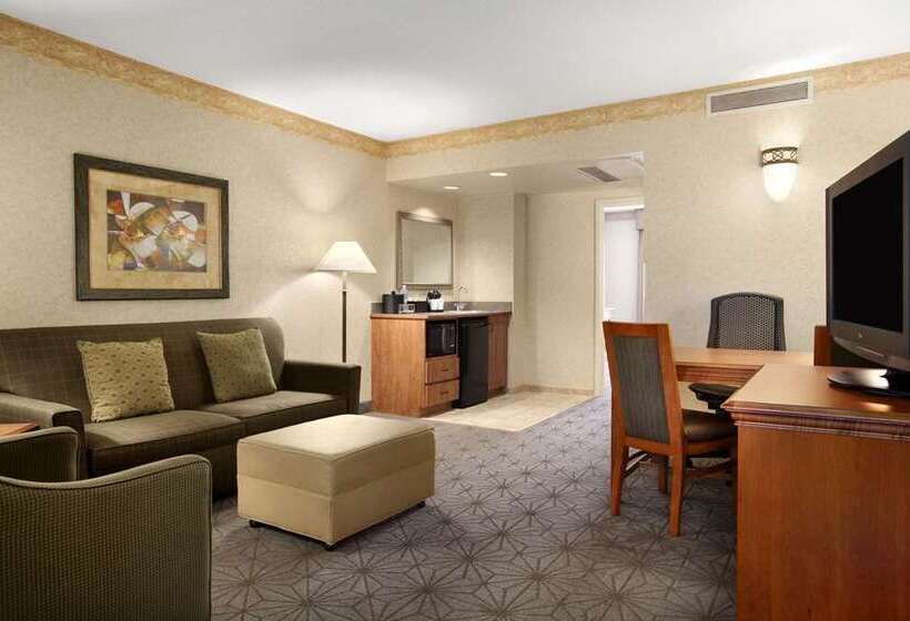 سوئیت با تخت بزرگ, Embassy Suites By Hilton St. Louis St. Charles